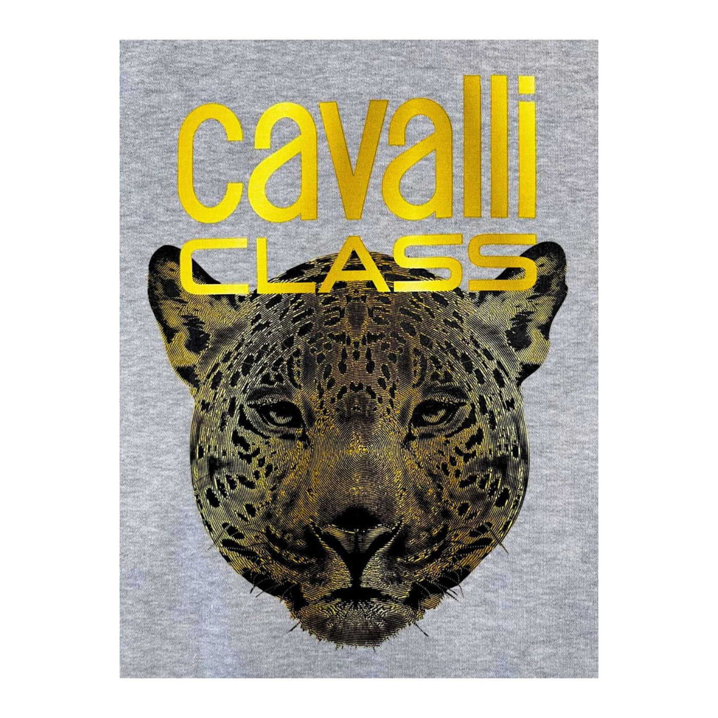 Cavalli Class Damen Sweatshirt